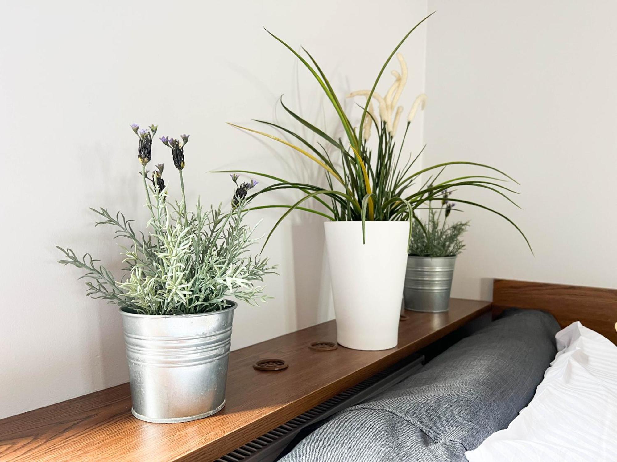 3D Szlak 77 Apartament Krasków Εξωτερικό φωτογραφία